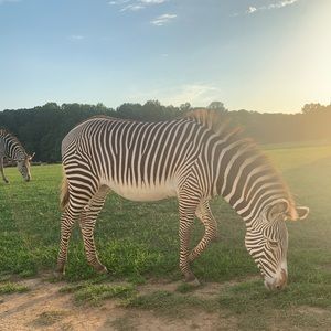 Meet your Posher, Gericka